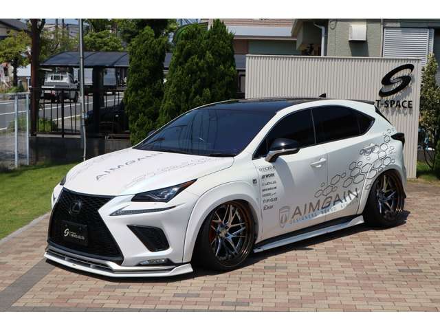 NX 2019/R01