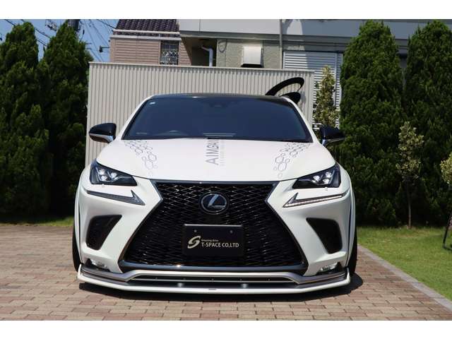NX 2019/R01