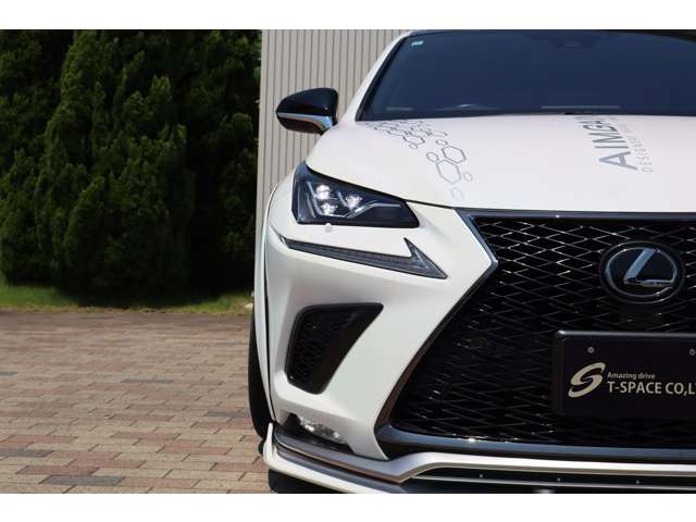 NX 2019/R01