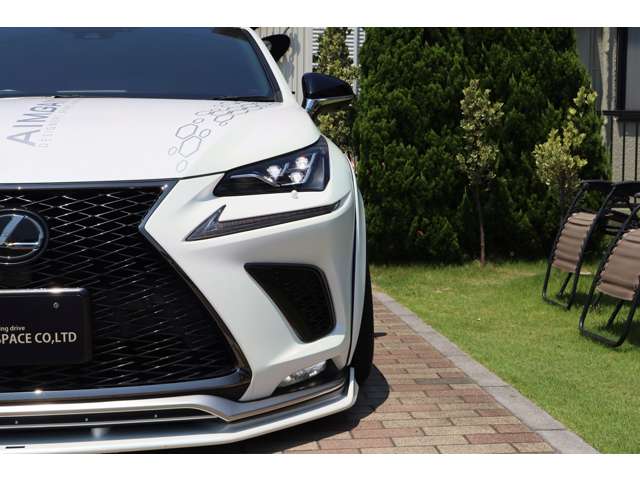 NX 2019/R01