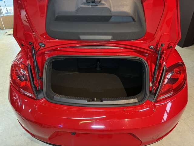 ザ・ビートル・カブリオレ 2014/H26