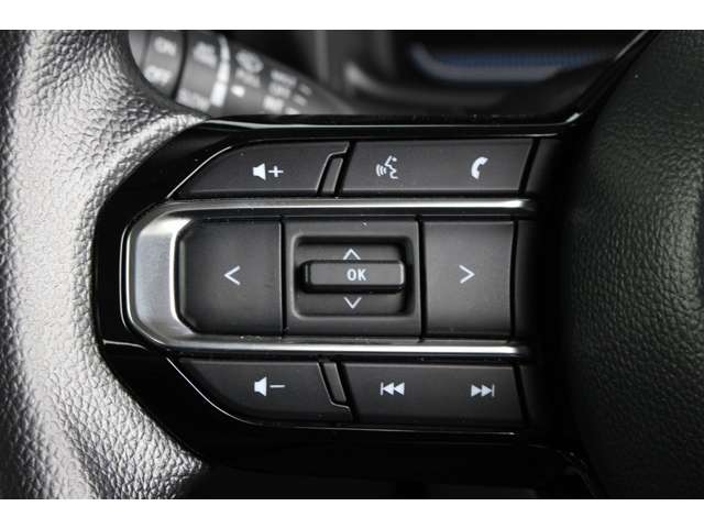 スペーシア 2024/R06