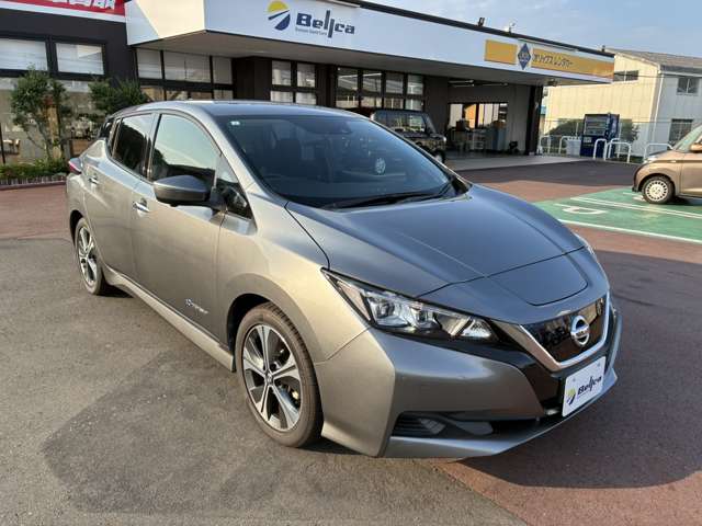 リーフ 2021/R03