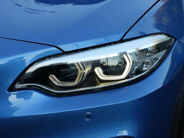 2シリーズカブリオレ 2019/R01