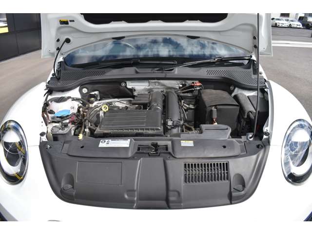 ザ・ビートル 2016/H28