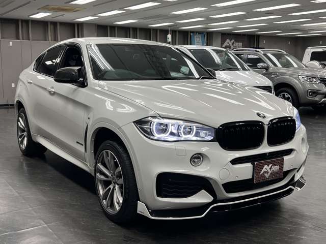 X6 2019/R01