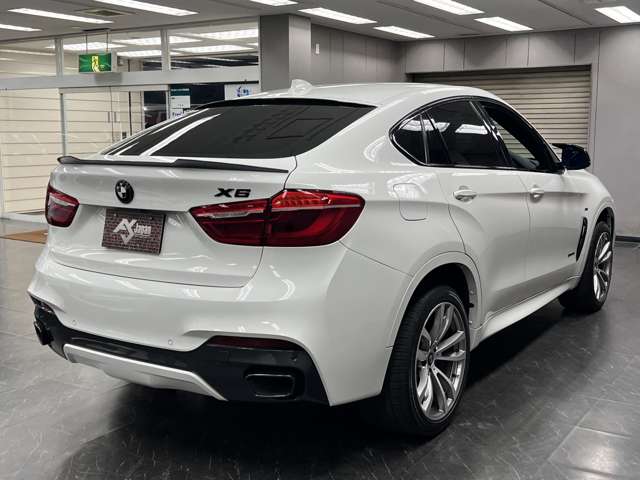 X6 2019/R01