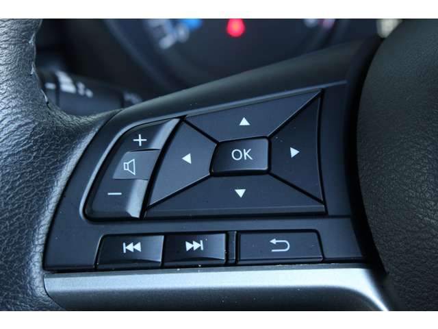 デリカミニ 2024/R06