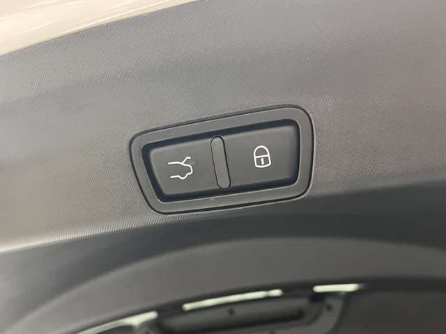 ステルヴィオ 2019/R01