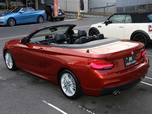 2シリーズカブリオレ 2019/R01