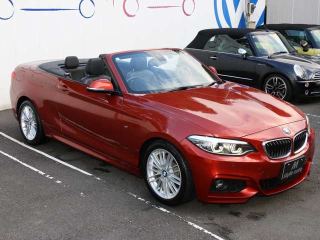 2シリーズカブリオレ 2019/R01