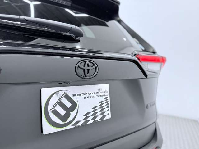 RAV4 2019/R01