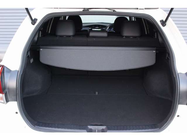 カローラフィールダー 2018/H30