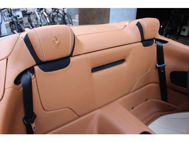 ローマスパイダー 2024/R06