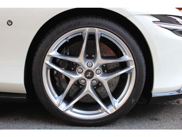 ローマスパイダー 2024/R06