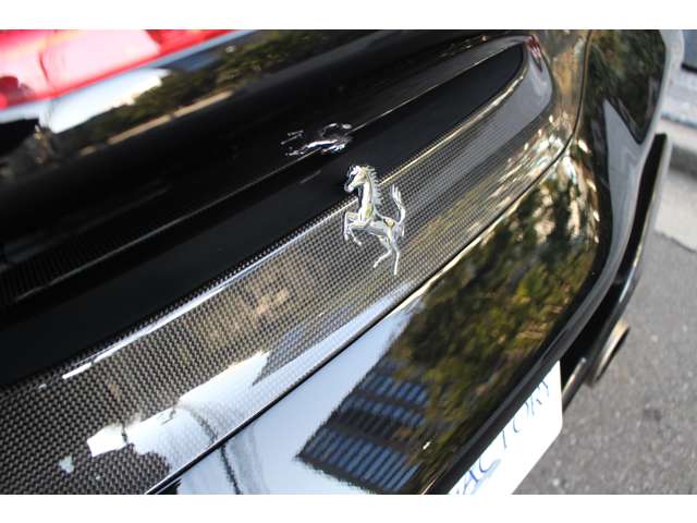 488ピスタスパイダー 2019/R01