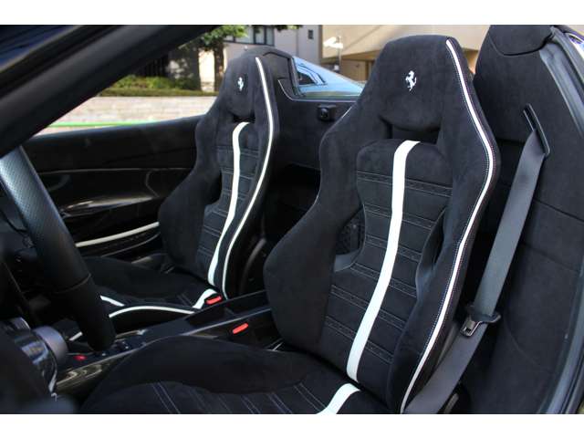 488ピスタスパイダー 2019/R01