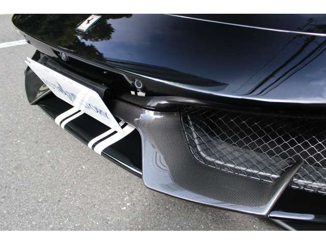 488ピスタスパイダー 2019/R01