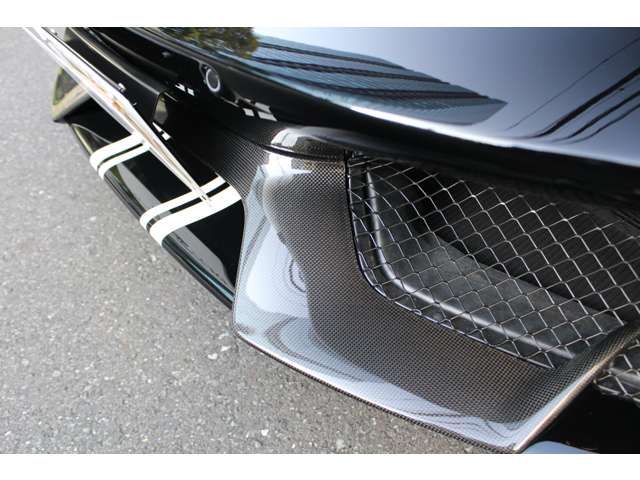 488ピスタスパイダー 2019/R01