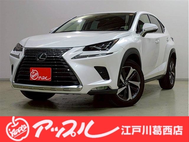 NX 2020/R02