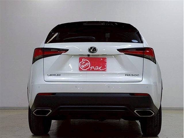 NX 2020/R02