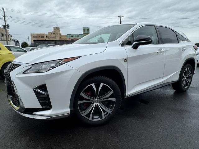 RX 2016/H28
