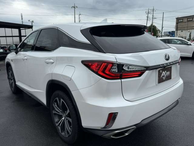 RX 2016/H28