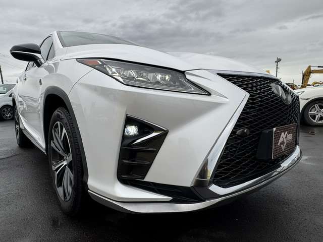 RX 2016/H28