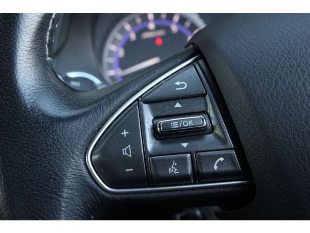 スカイライン 2017/H29