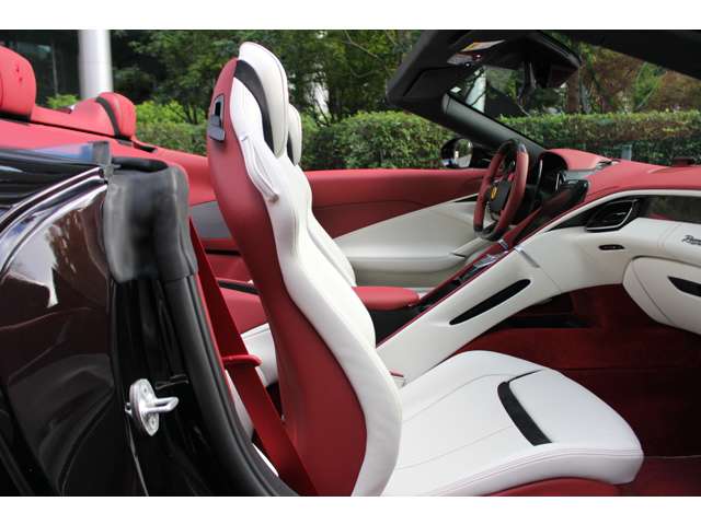 ローマスパイダー 2024/R06