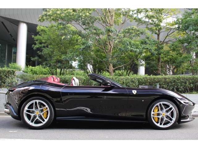 ローマスパイダー 2024/R06