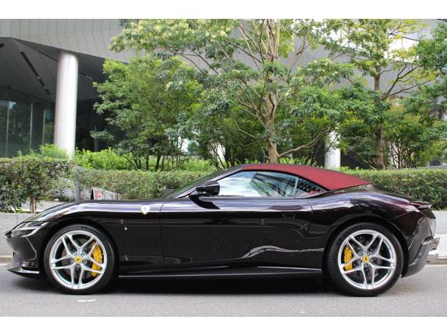 ローマスパイダー 2024/R06