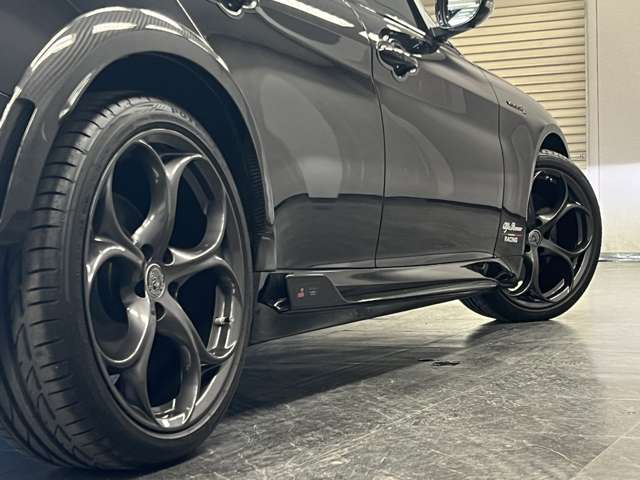 ジュリア 2017/H29