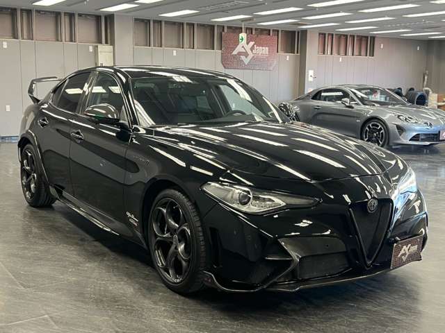 ジュリア 2017/H29