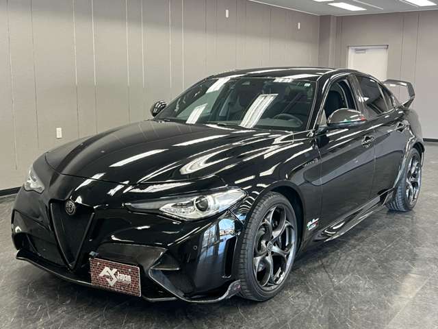 ジュリア 2017/H29