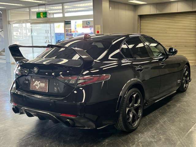 ジュリア 2017/H29