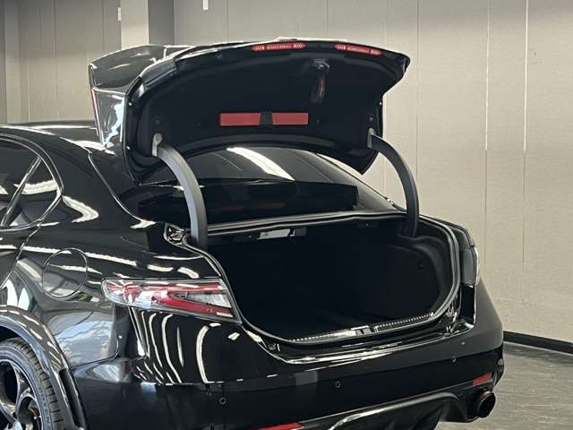 ジュリア 2017/H29