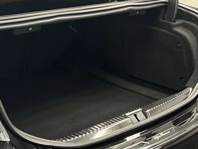 ジュリア 2017/H29