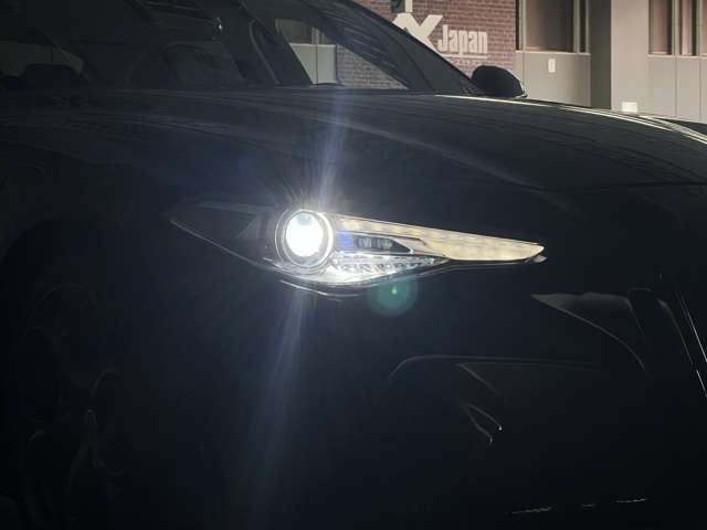 ジュリア 2017/H29