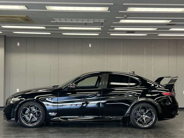 ジュリア 2017/H29