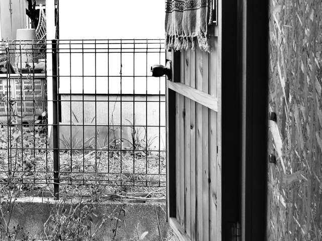 キャリイ 2005/H17