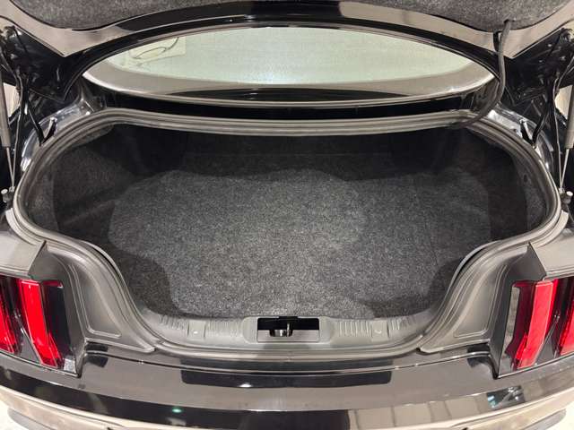 マスタング 2022/R04