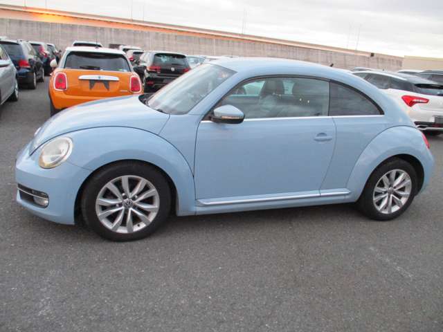 ザ・ビートル 2012/H24