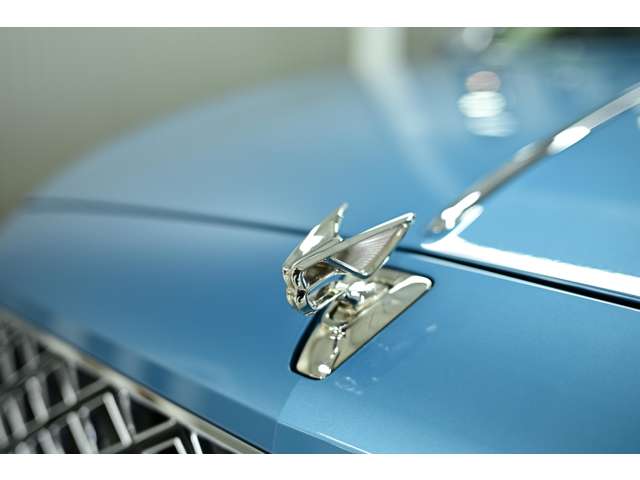 フライングスパー 2023/R05