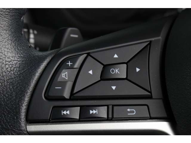 デリカミニ 2024/R06