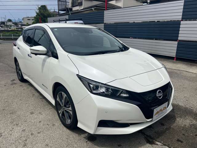 リーフ 2021/R03