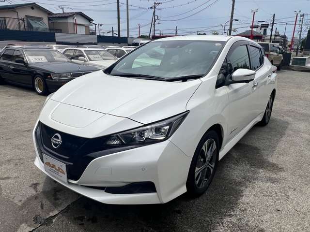 リーフ 2021/R03