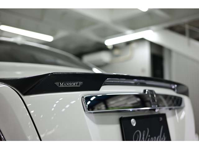 ゴースト 2010/H22