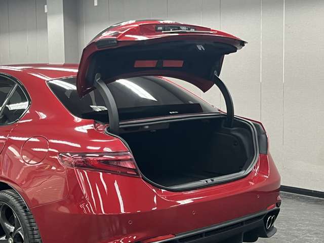 ジュリア 2017/H29