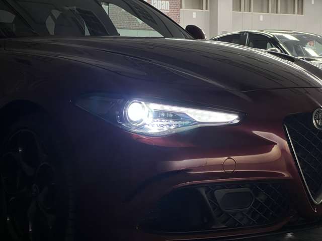 ジュリア 2017/H29